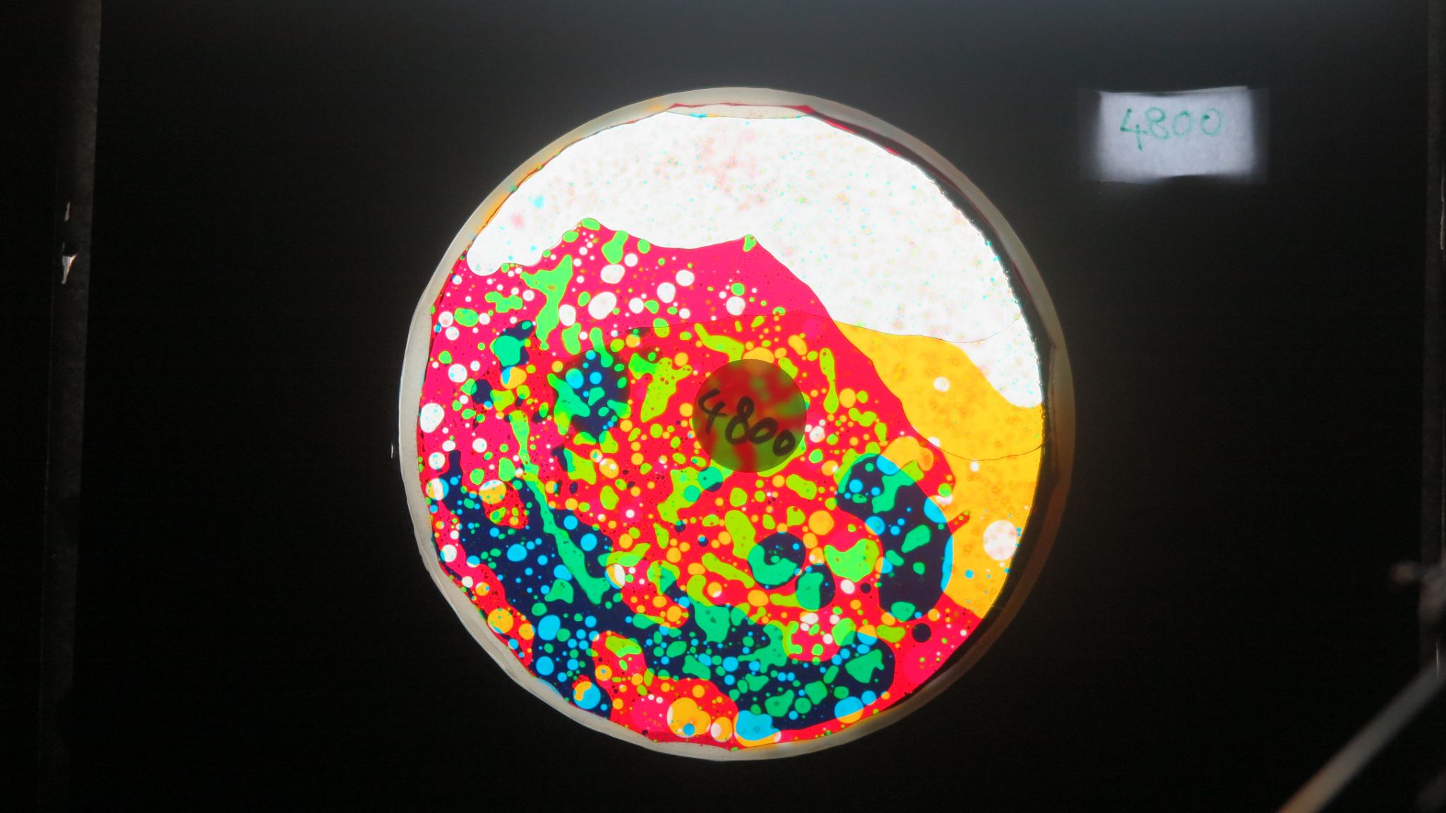 BV4800 bubble vision oil wheel